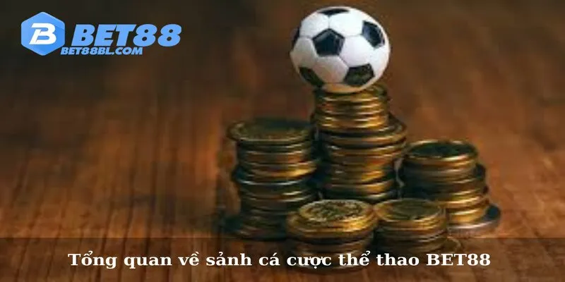 Đôi chút thông tin về sảnh cá cược thể thao BET88